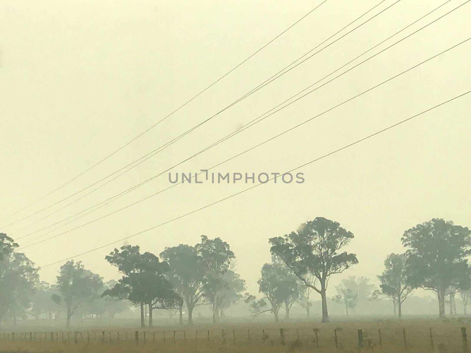 Smoke due to a bushfire in Victoria, Australia