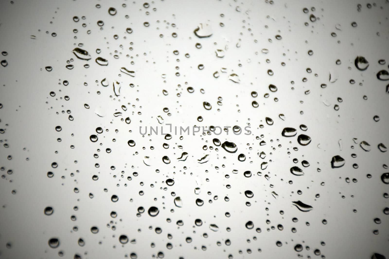 Rain droplets on glass