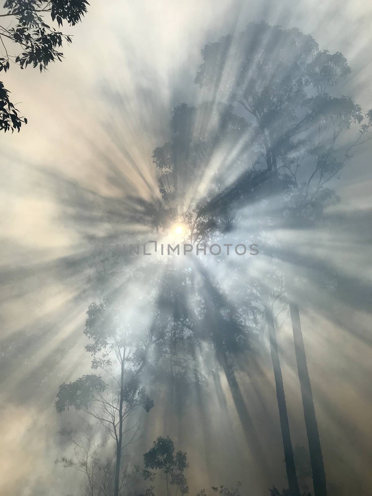 Smoke with sunlight from a bushfire in Australia
