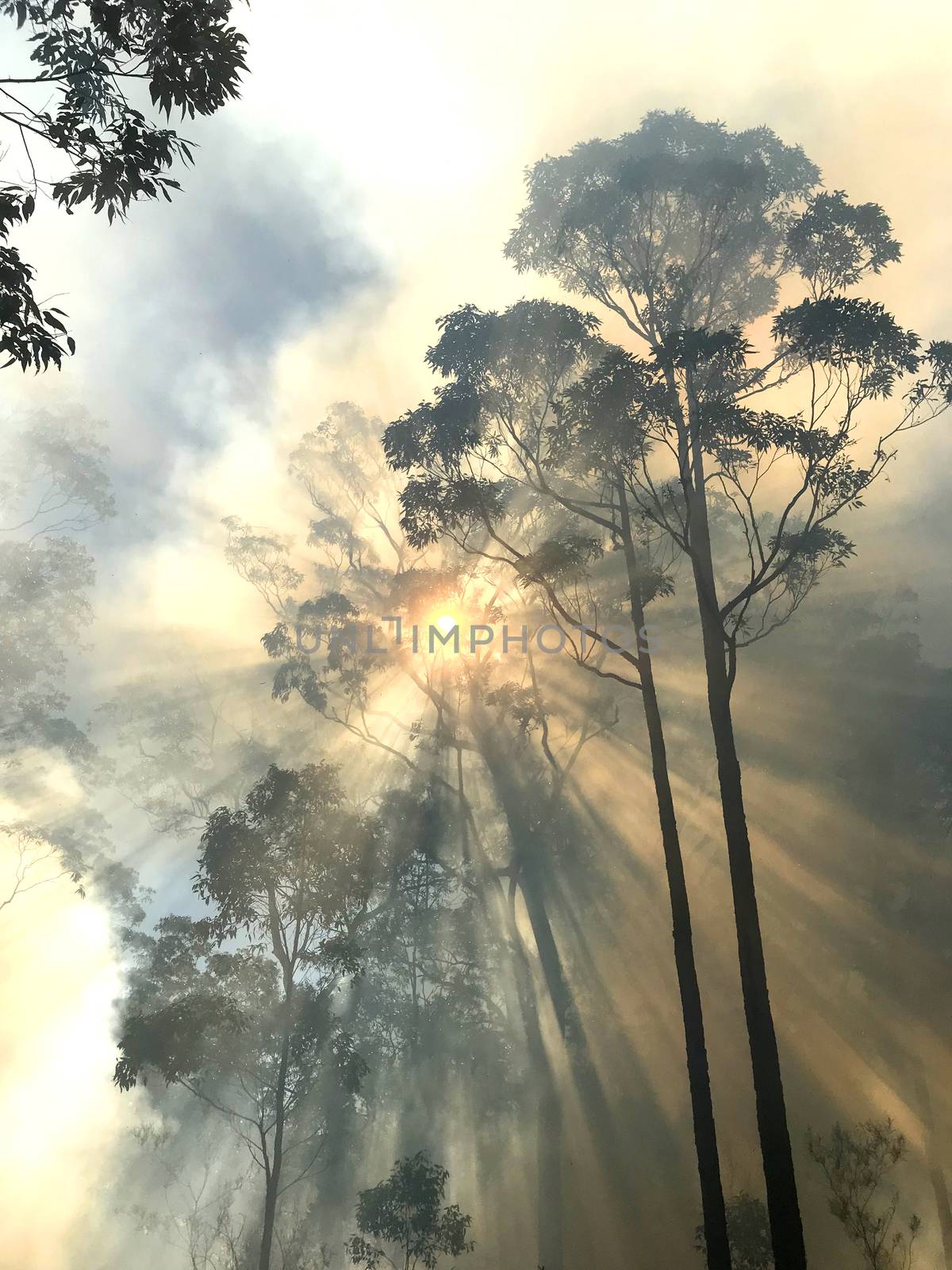 Smoke with sunlight from a bushfire in Australia