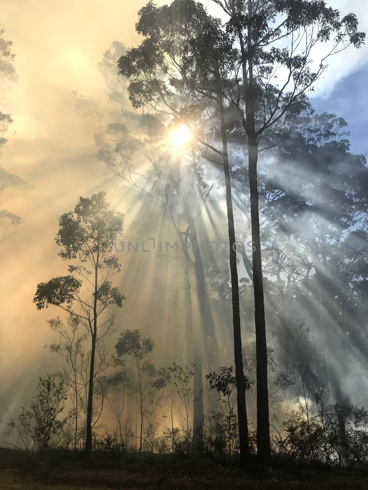 Smoke with sunlight from a bushfire in Australia