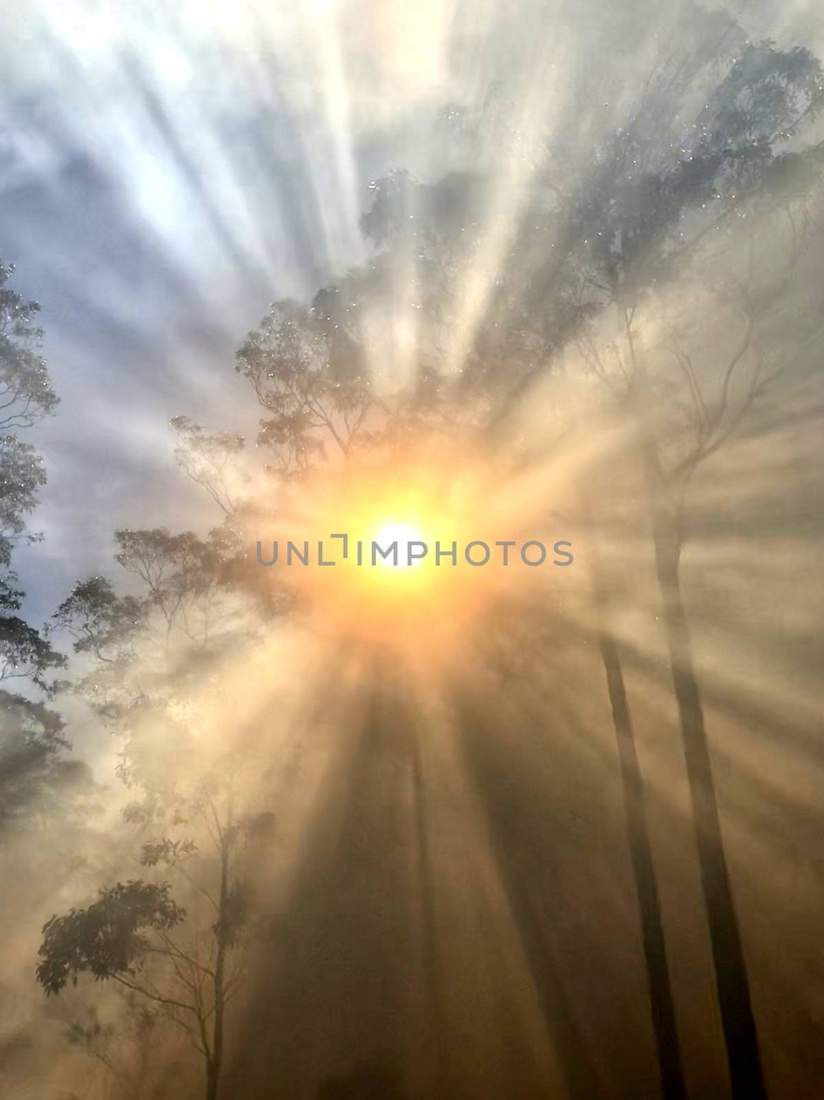 Smoke with sunlight from a bushfire in Australia