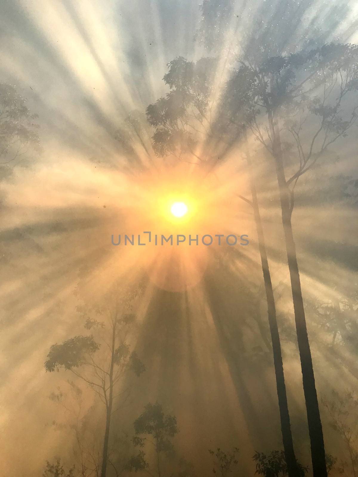 Smoke with sunlight from a bushfire in Australia