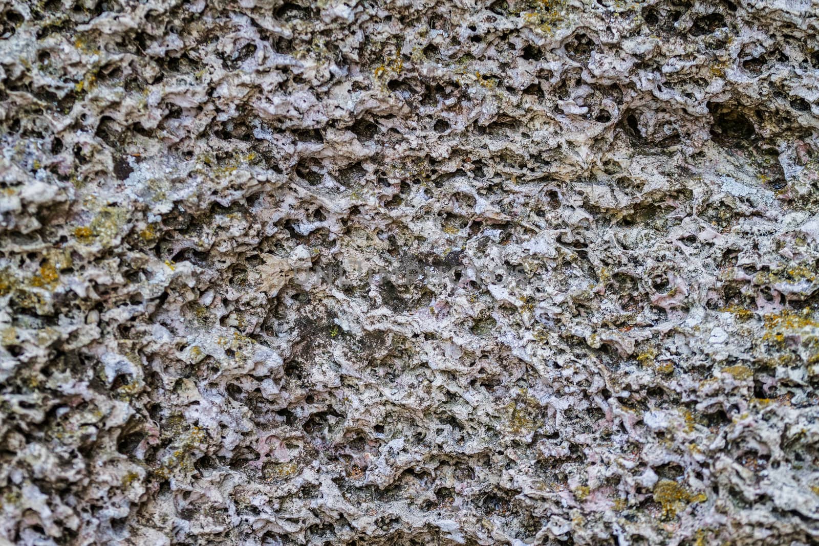 multi-colored limestone covered with moss and lichen by fogen