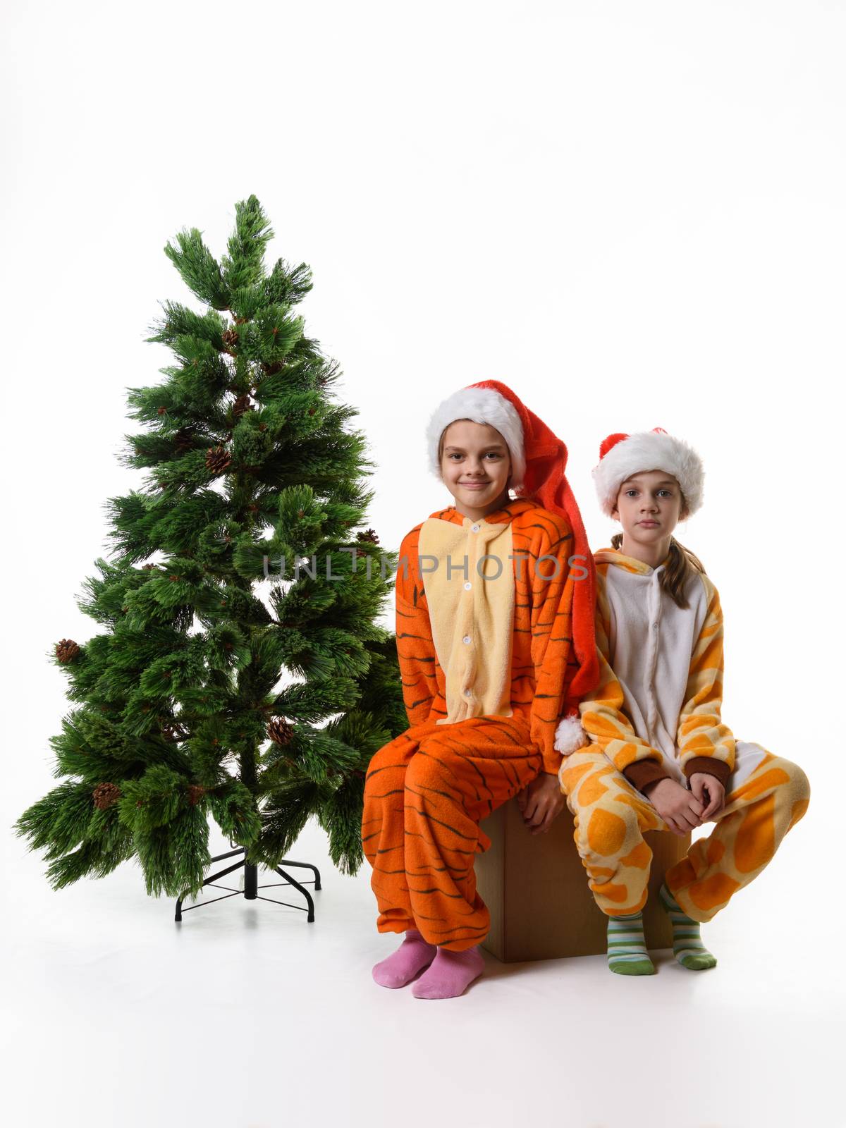 Two girls sitting on a box with toys near an artificial Christmas tree