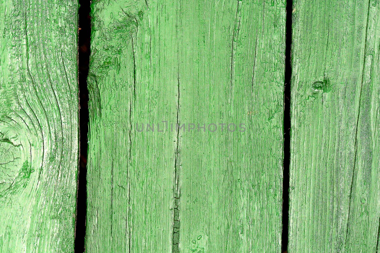 Natural green wood texture with an array of knots and ring lines.