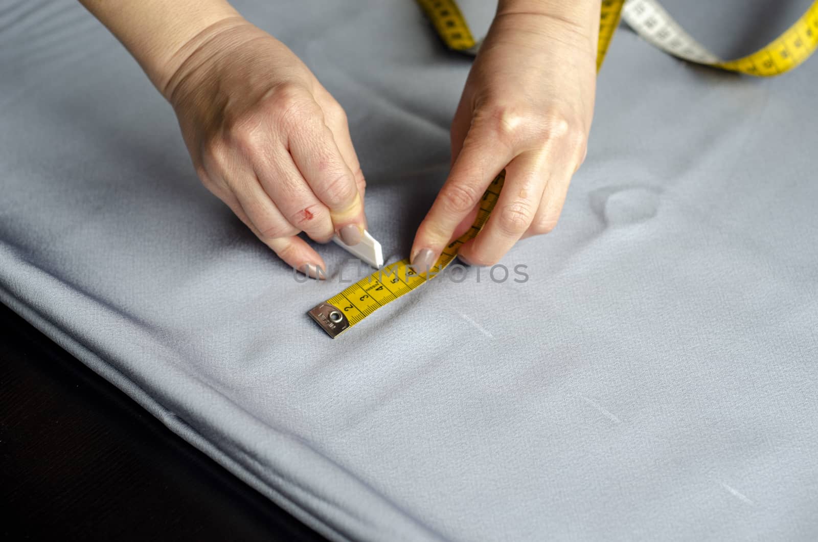 Tailor Sews a Dress 2