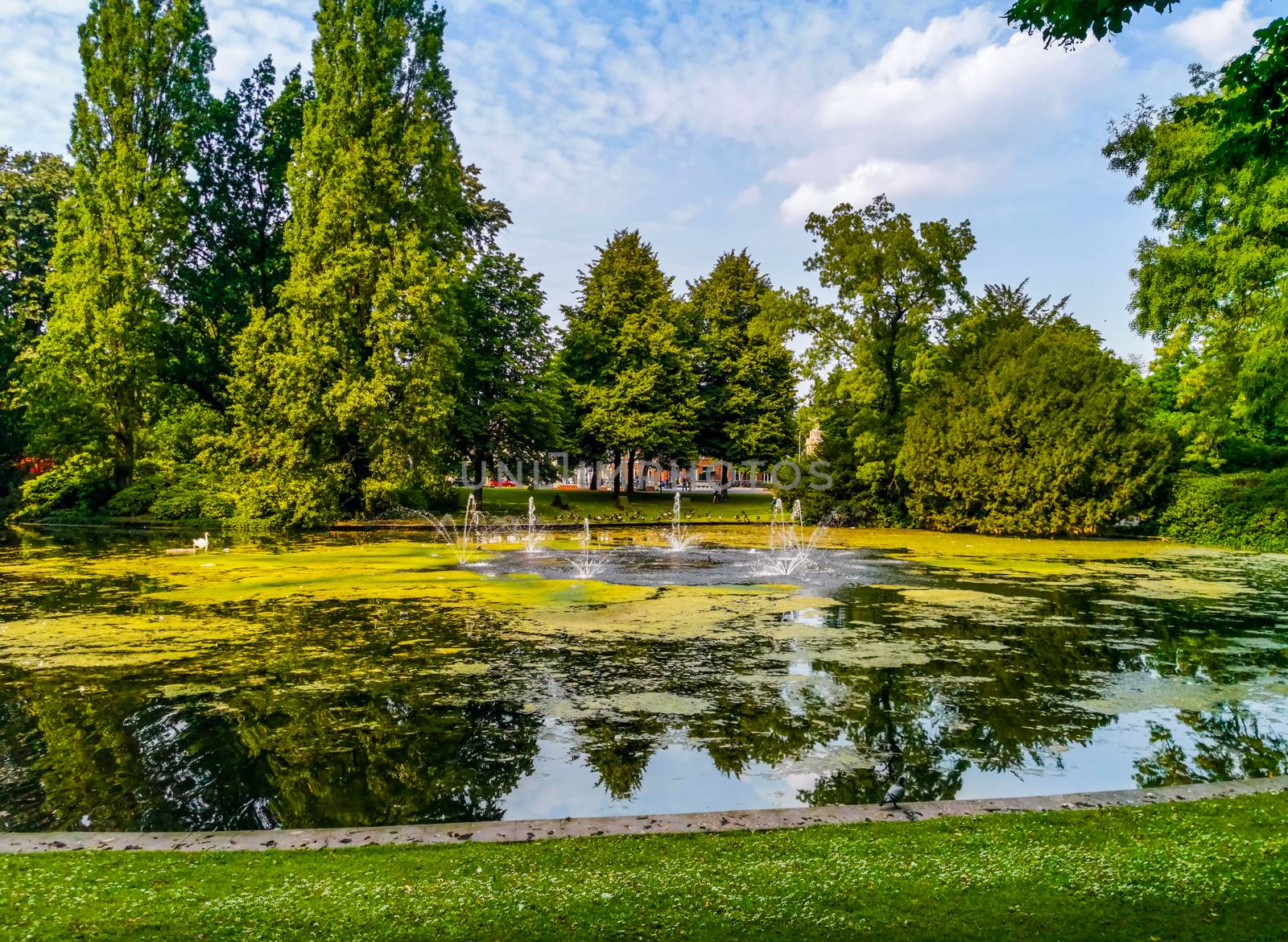 city park Valkenberg of breda with the pond and water fountains, Nature scenery of the Netherlands