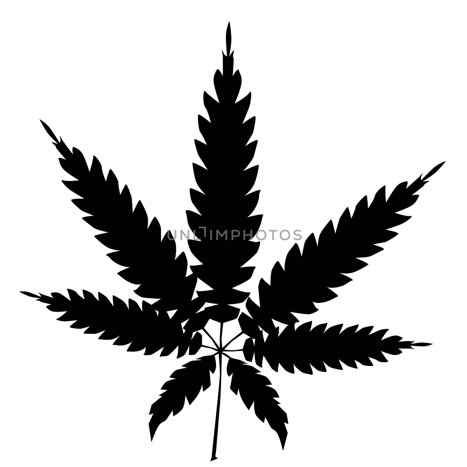 A cannabis leaf silhouette isolated over a white background.