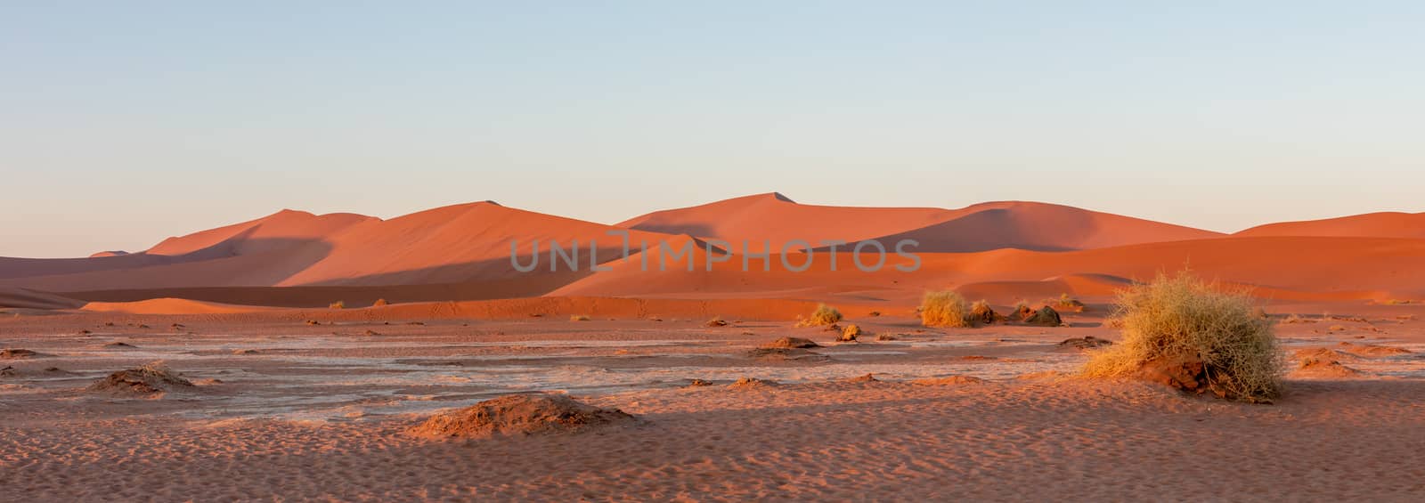 beautiful landscape Hidden Vlei in Namibia Africa by artush