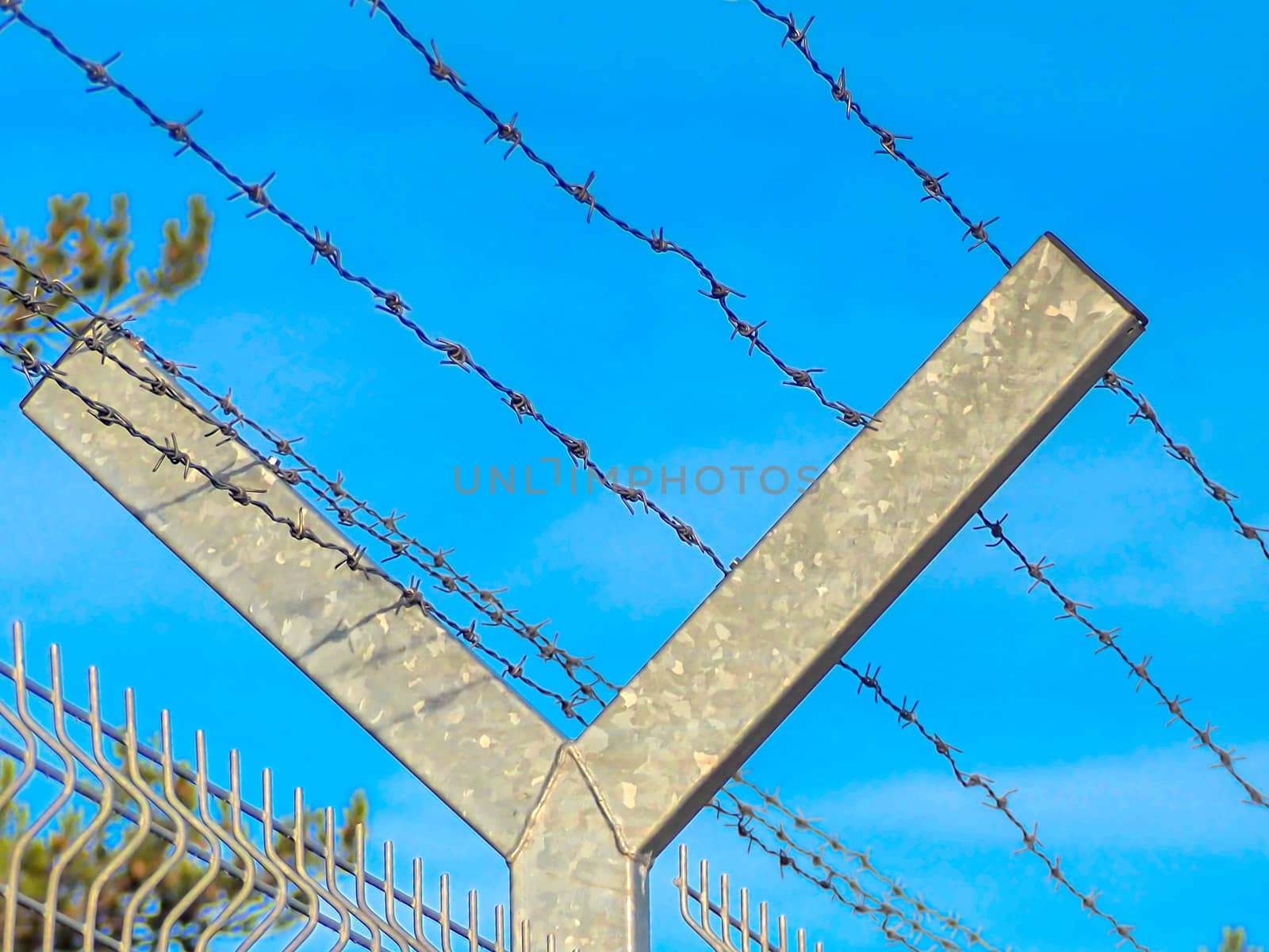 Selective focus. Security Fence In Prison. Lost freedom behind barbed wire. Old rusty barbed wire in the forest close up. Private property. Blue sky on background