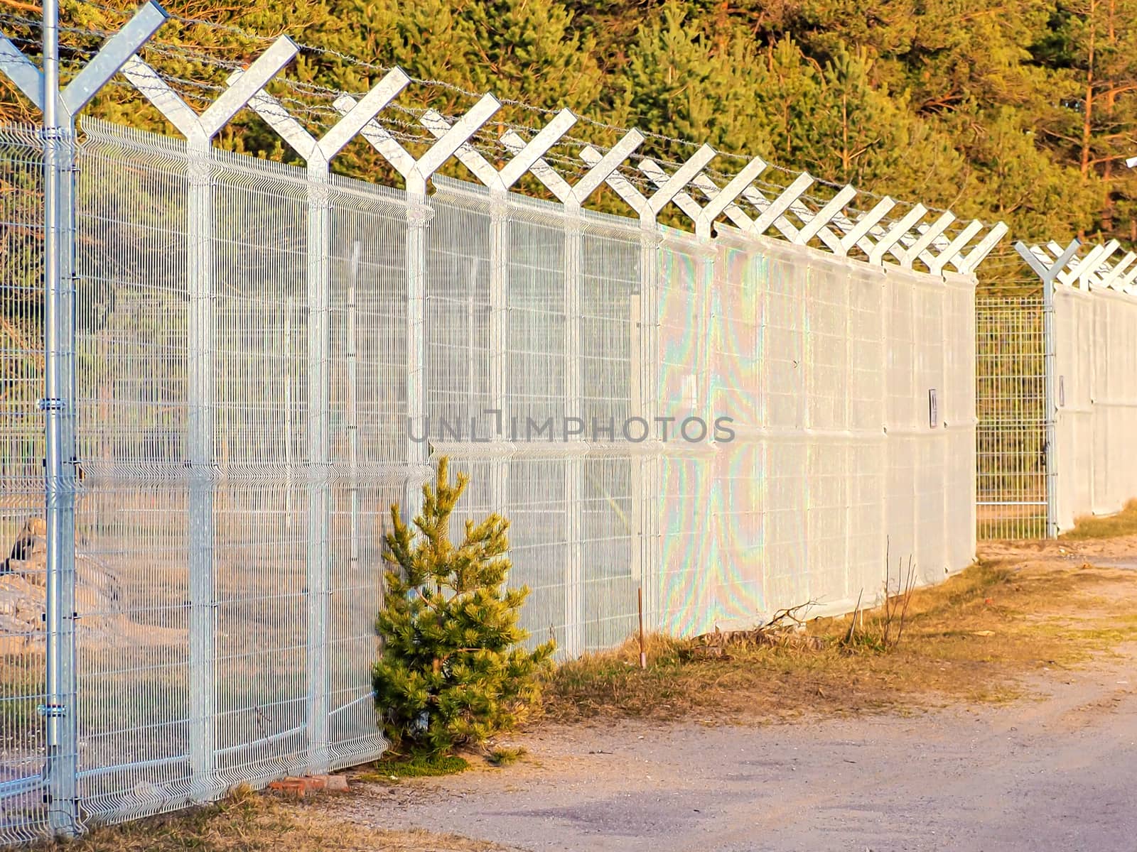 Selective focus. Security Fence In Prison. Lost freedom behind barbed wire. Old rusty barbed wire in the forest close up. Private property . Blue sky on background