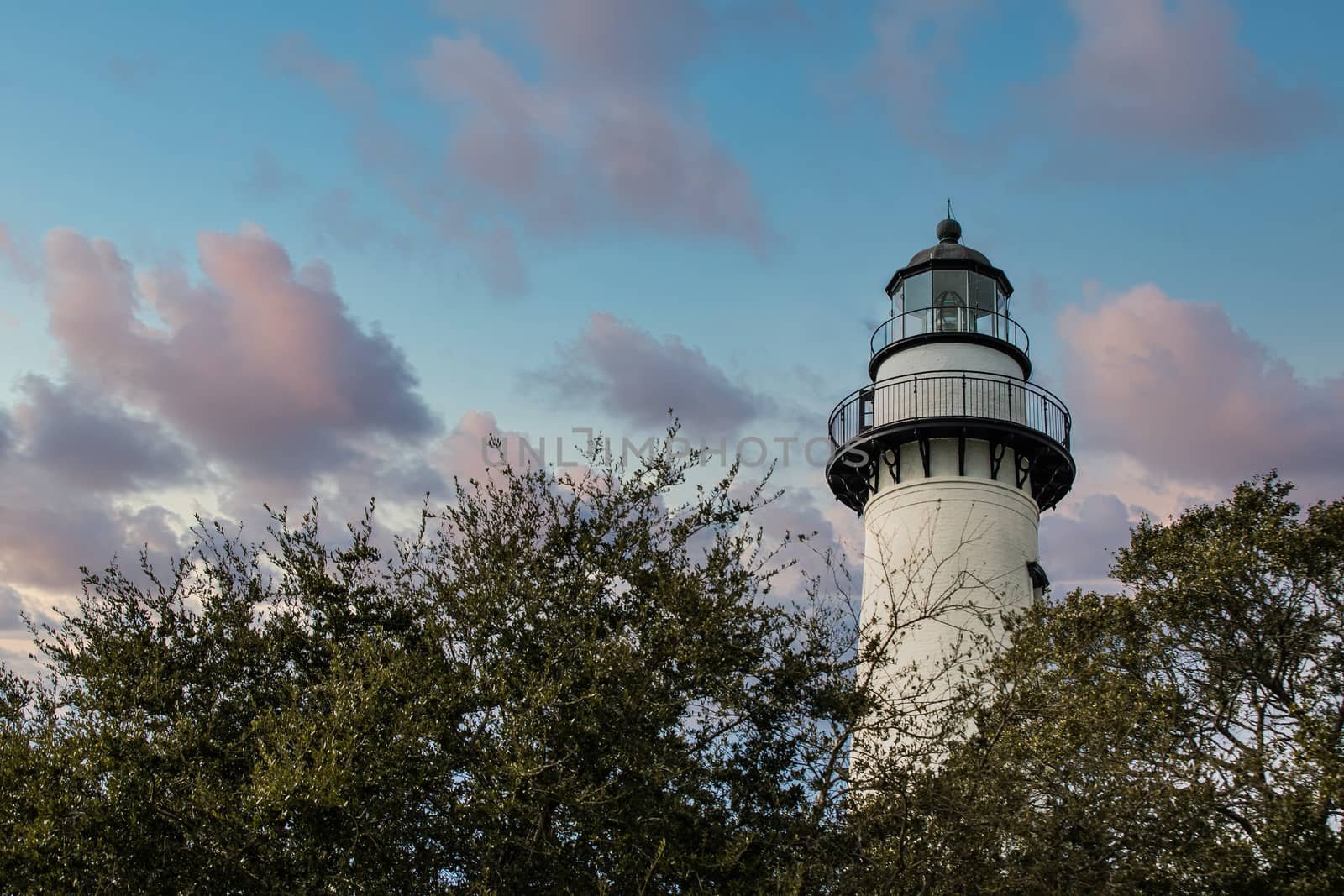 Black and White Lighthouse in Green Trees at Dusk by dbvirago