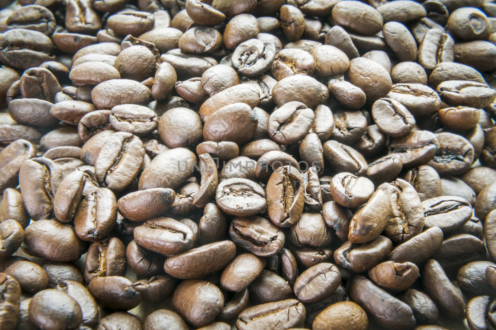 Closeup of roasted coffee beans by hongee