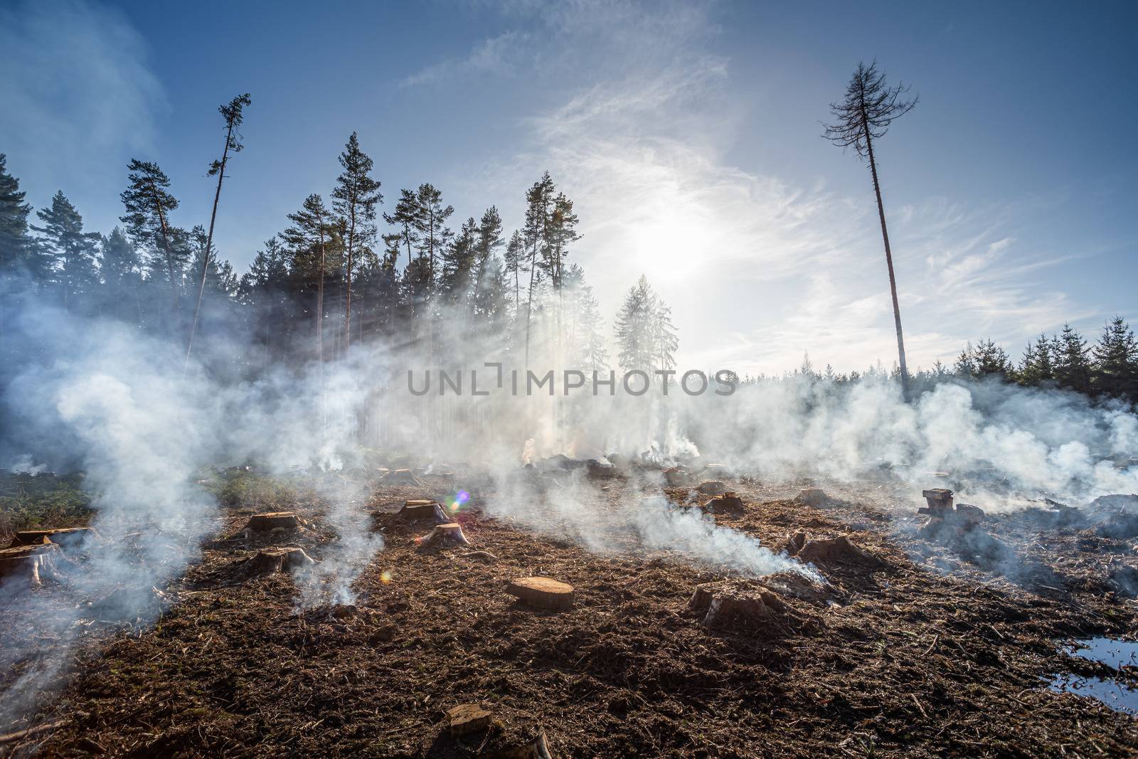 Big field with smoke after wildfire. All grass and trees are burnt after forest fire or forestry works. by petrsvoboda91