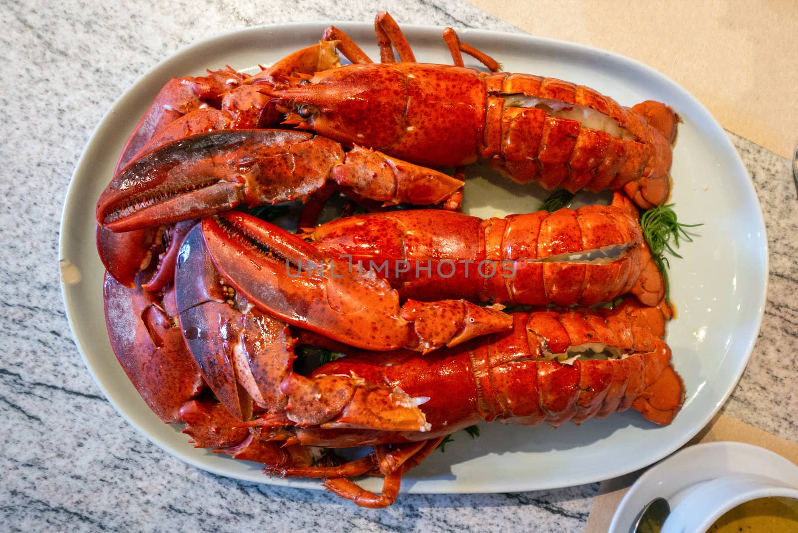 Three buttered Lobster prawns, neatly arranged on a white plate by chadchai_k