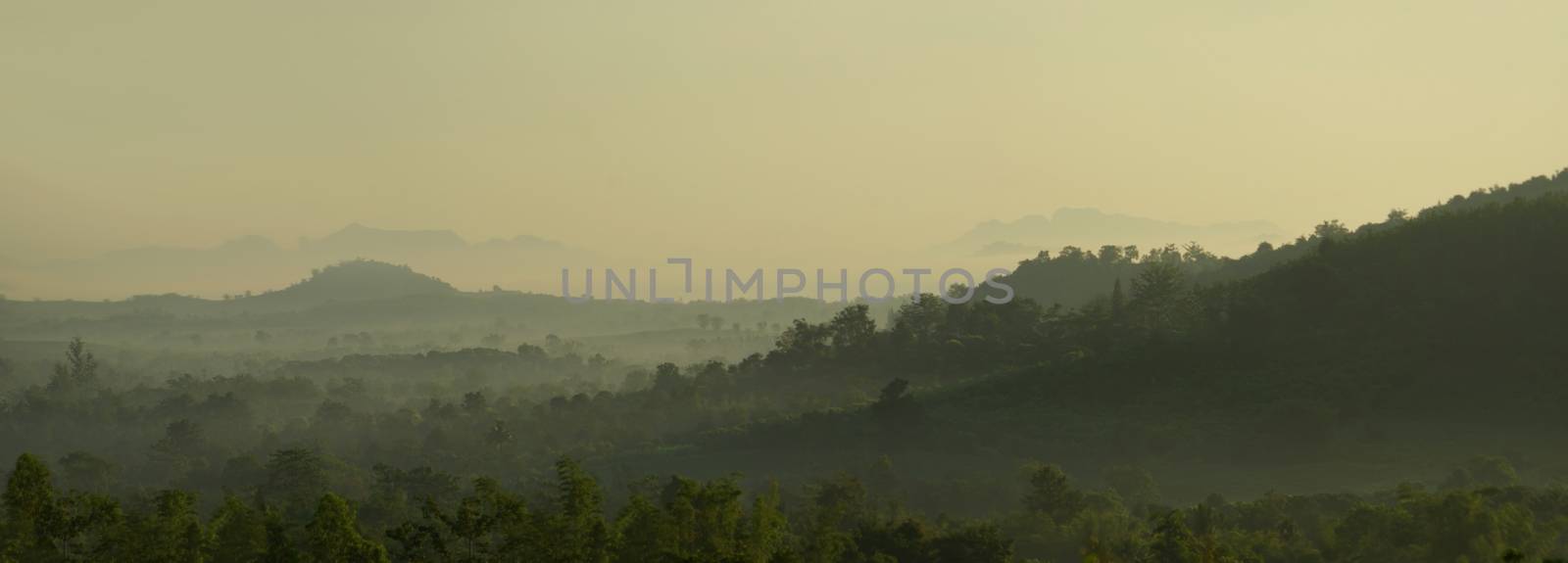 Morning mist and mountain view in the countryside by Satakorn