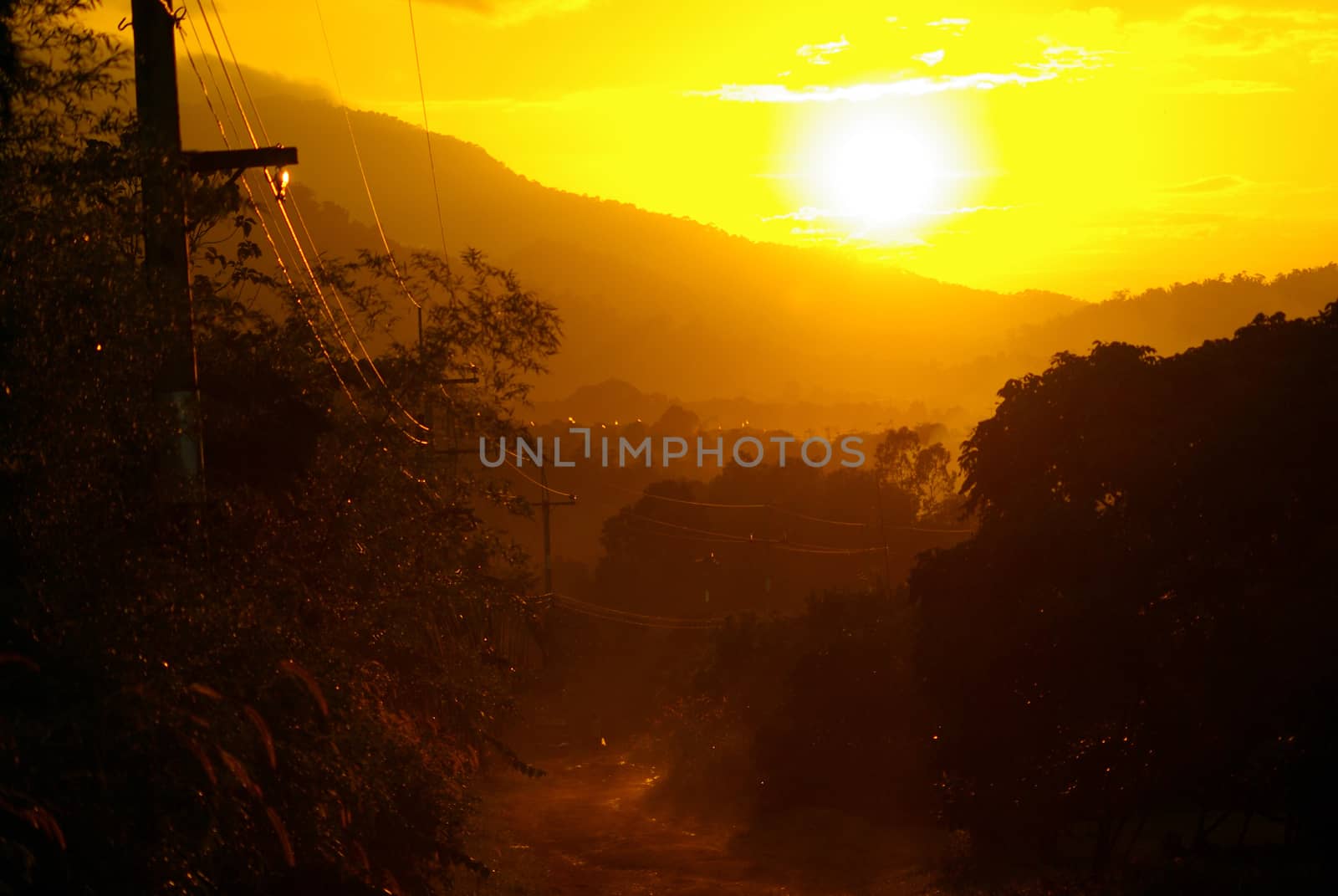 The golden light of sunset and a dirt road in the countryside of Thailand