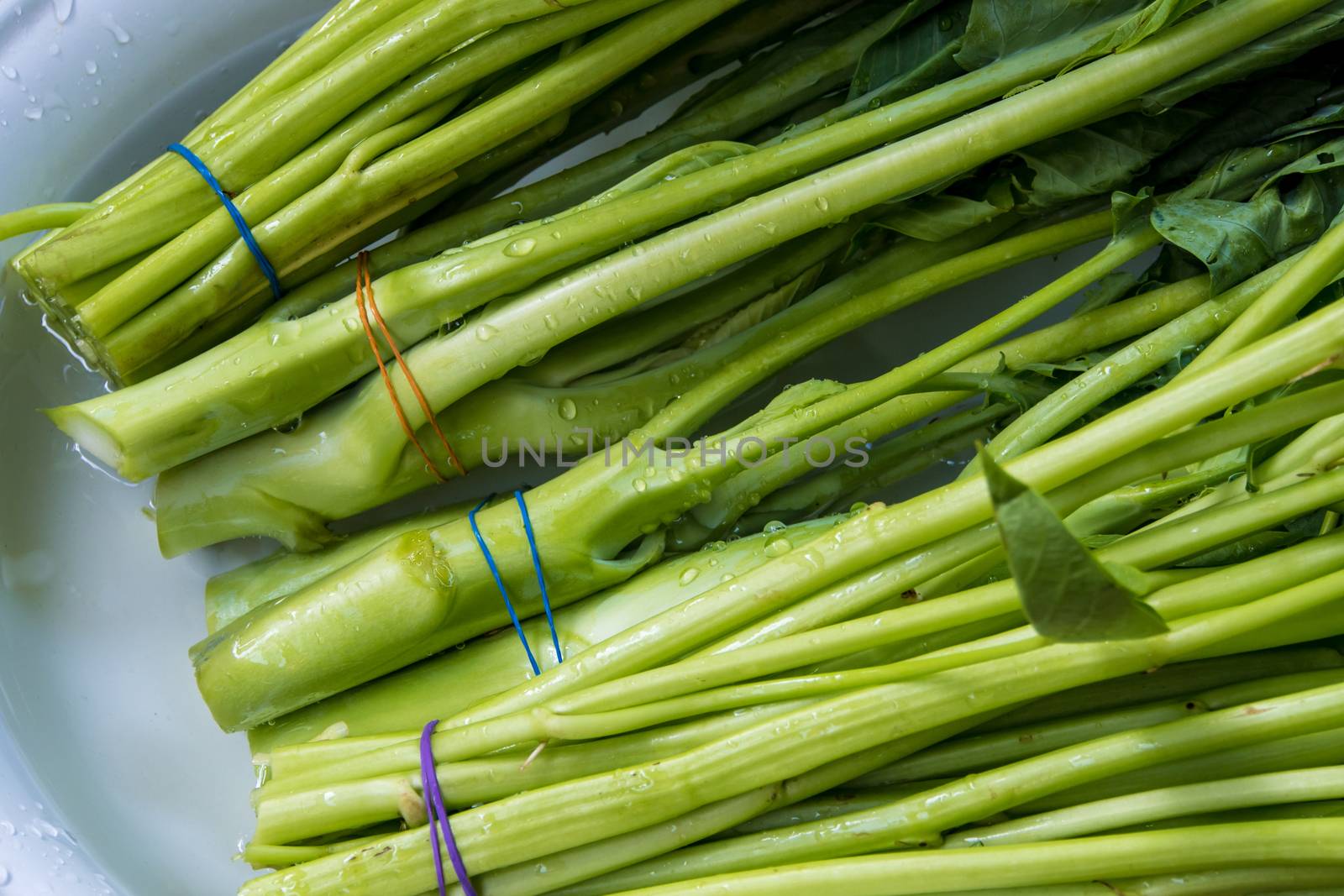 Morning glory and Chinese Kale wash in water by Satakorn