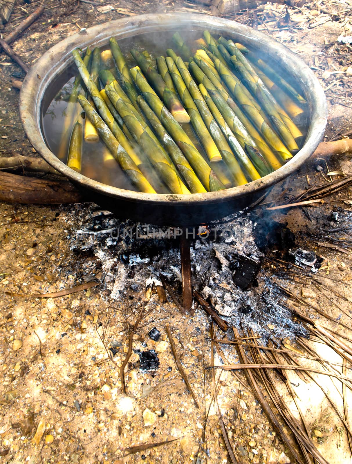 bamboo shoot boil in hot water