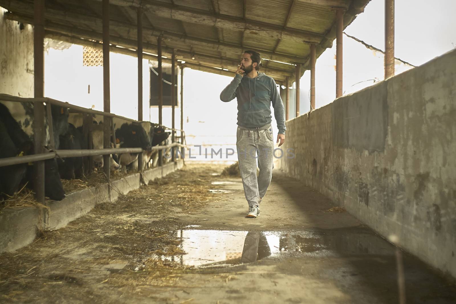 Farmer in the stable by pippocarlot