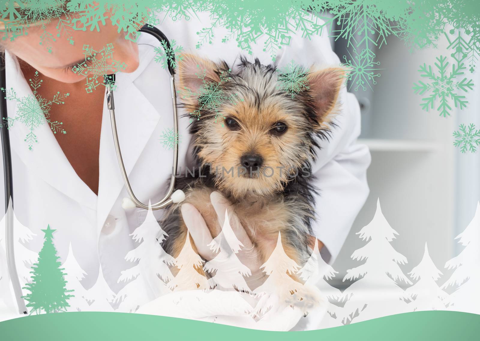 Composite image of vet holding cute puppy against snowflakes and fir tree in green