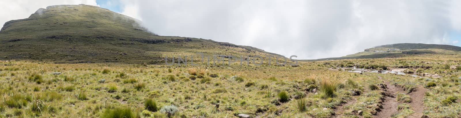 Panorama of the Sentinel hiking trail to the Tugela Falls crossing the Tugela River. Cattle are visible on the Western Buttress