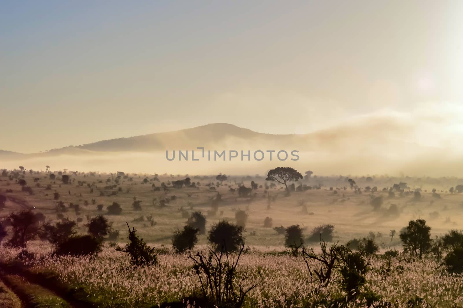 Rise of mist on the savanna and mountains of Tsavo West Park in Kenya