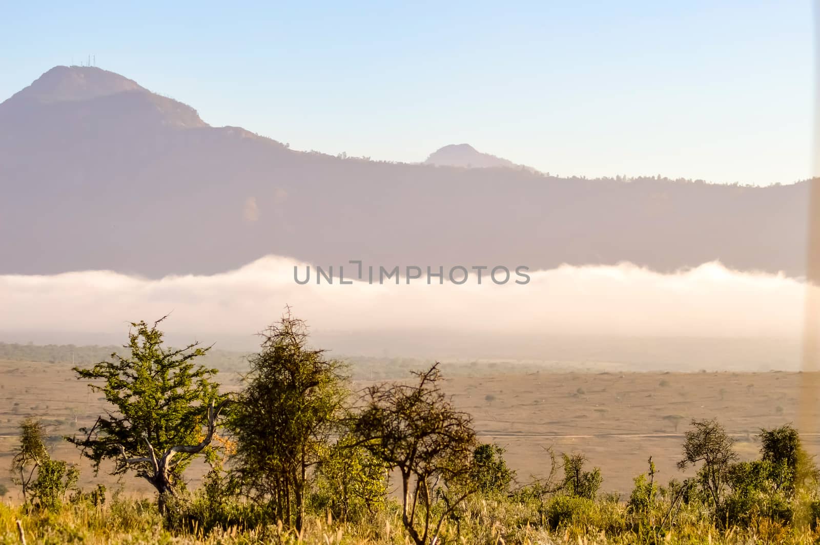 Rise of mist on the savanna and mountains of Tsavo West Park in Kenya