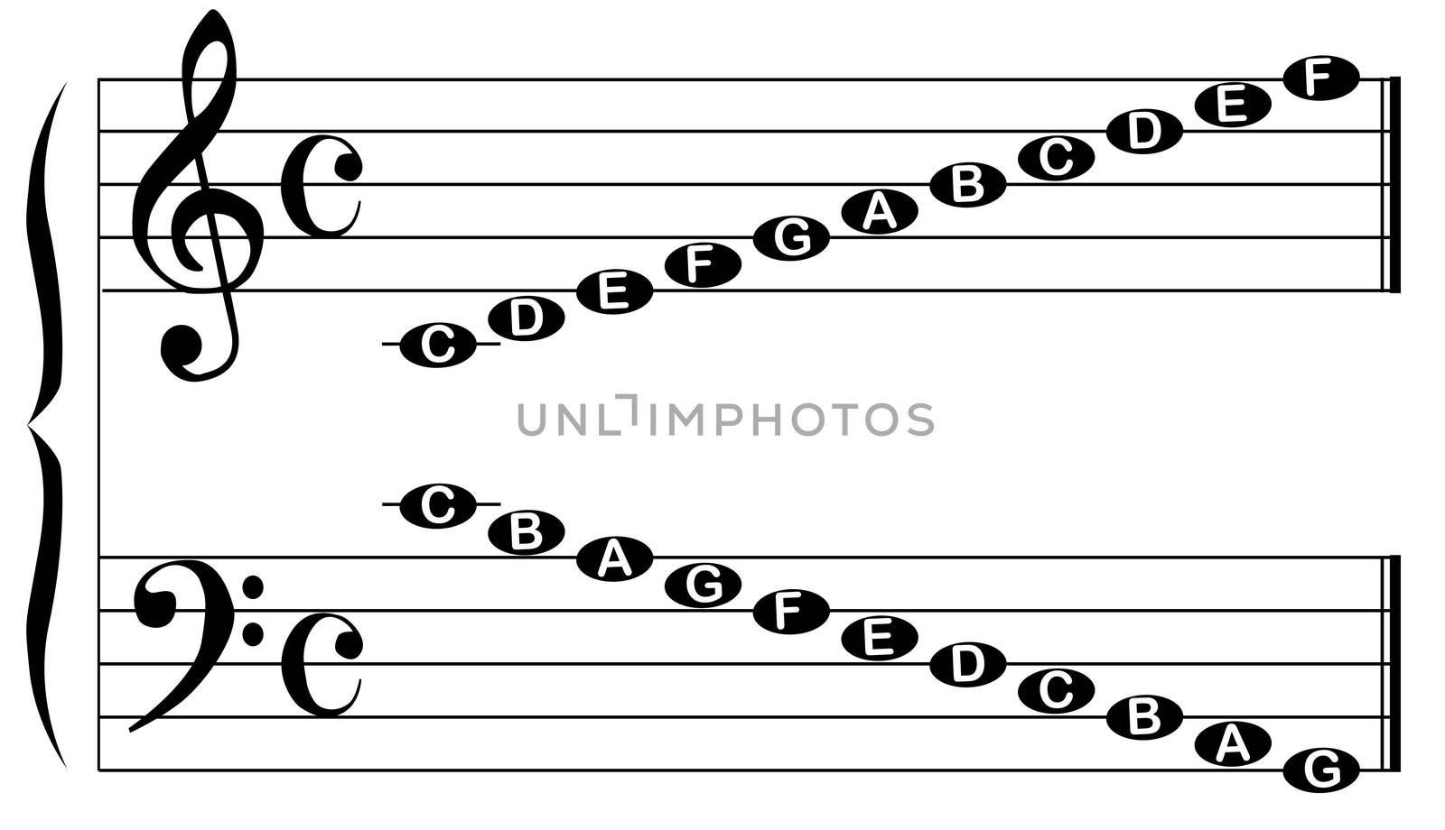 The names of the notes for the bass and treble clef isolated on white.