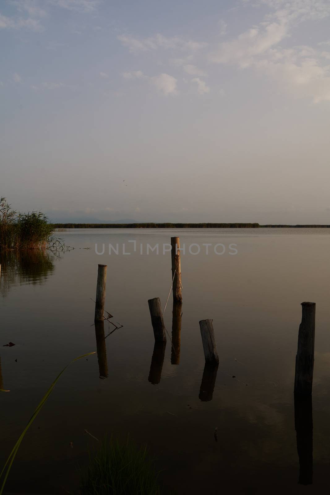 Reflections of the sunset in the lagoon. Sunset lights