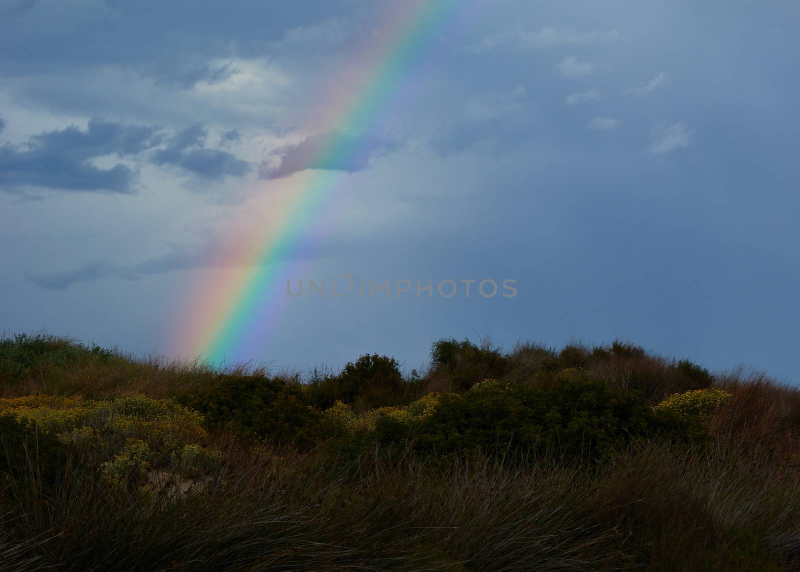 Rainbow appearing behind nature after the storm. Sunset colors