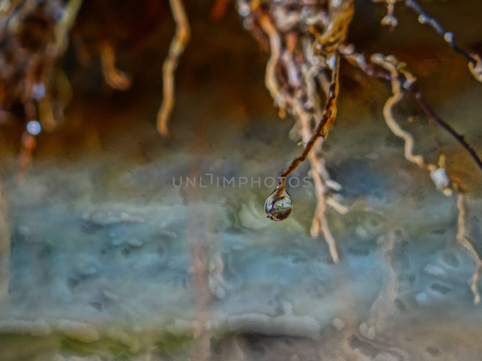 A water drop falling down on a single root in front of a blurry background.