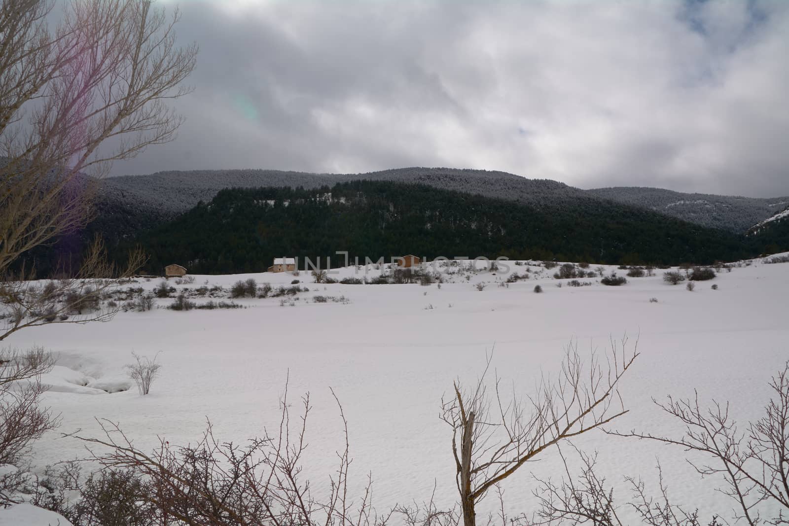 Snowy and cold mountain forest landscape. Loneliness and tranquility