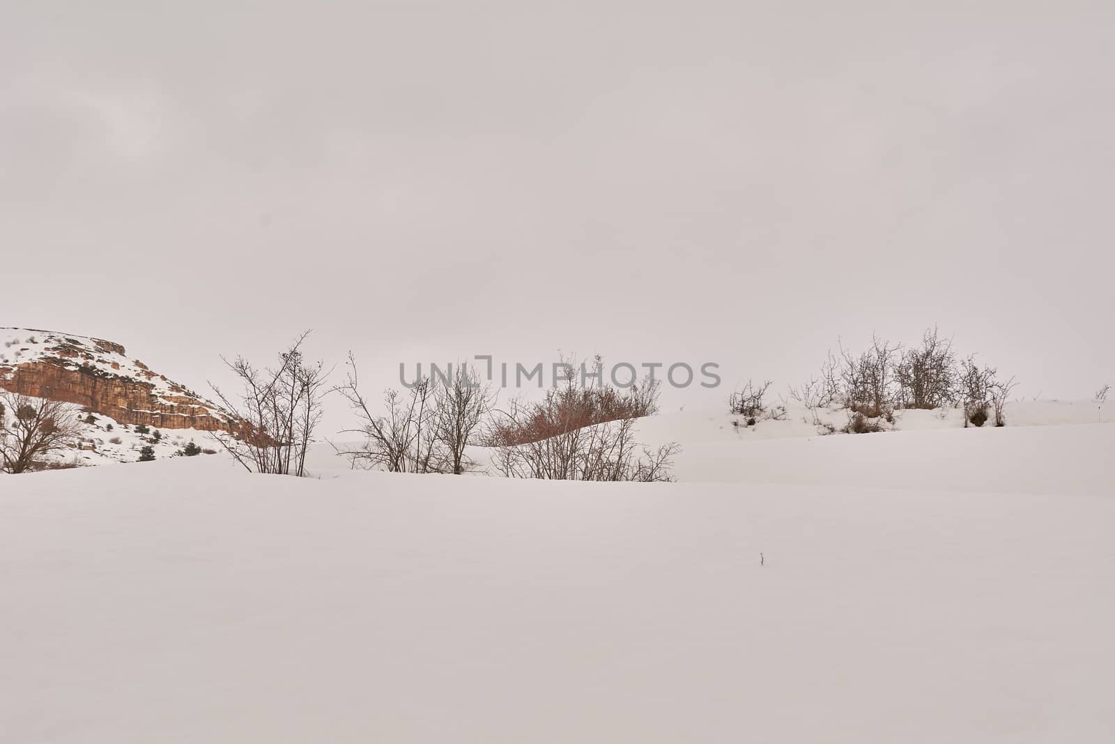 Snowy and cold mountain forest landscape