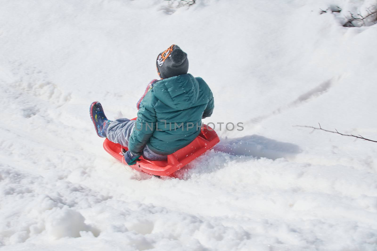 Playing with the sled in the snowy mountain