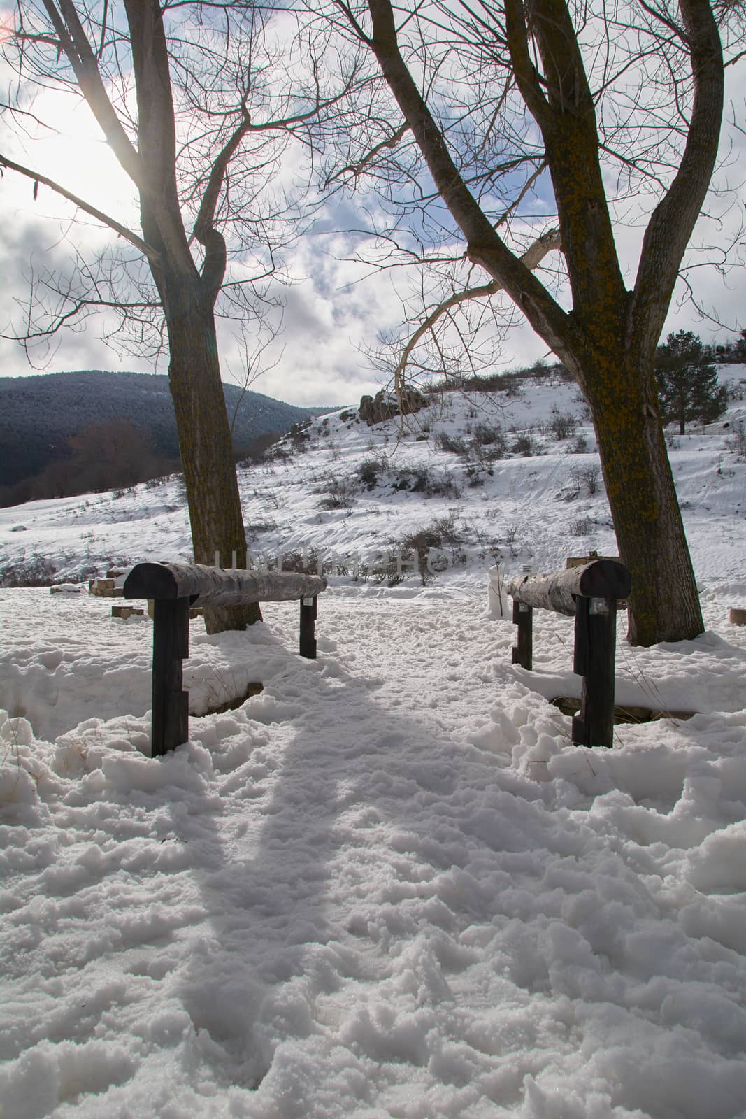 Snowy and cold mountain forest landscape by raul_ruiz