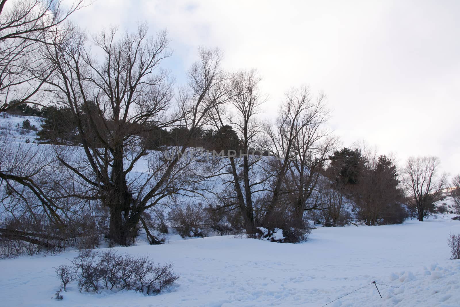 Snowy and cold mountain forest landscape. Loneliness and tranquility