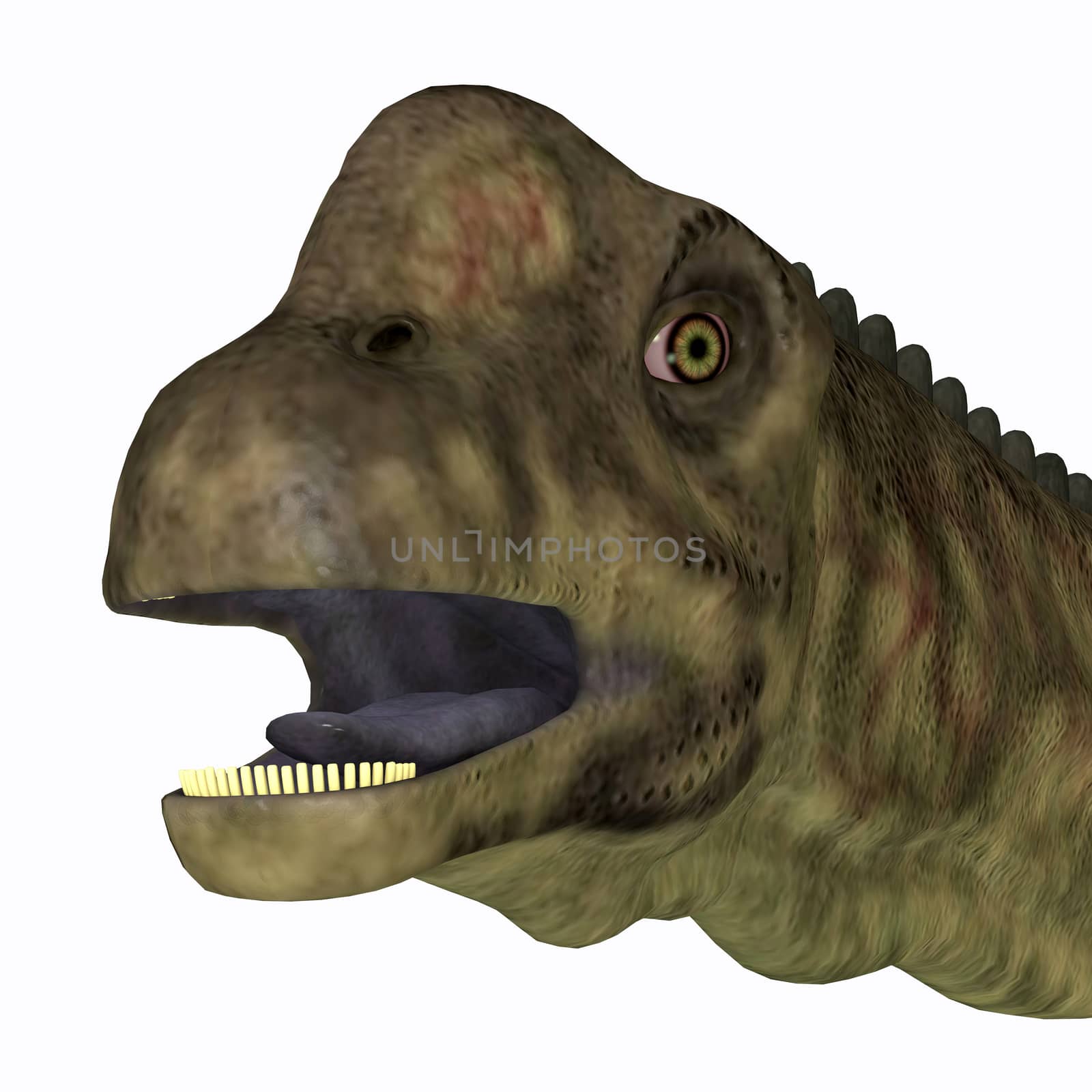 Uberabatitan Dinosaur Head by Catmando