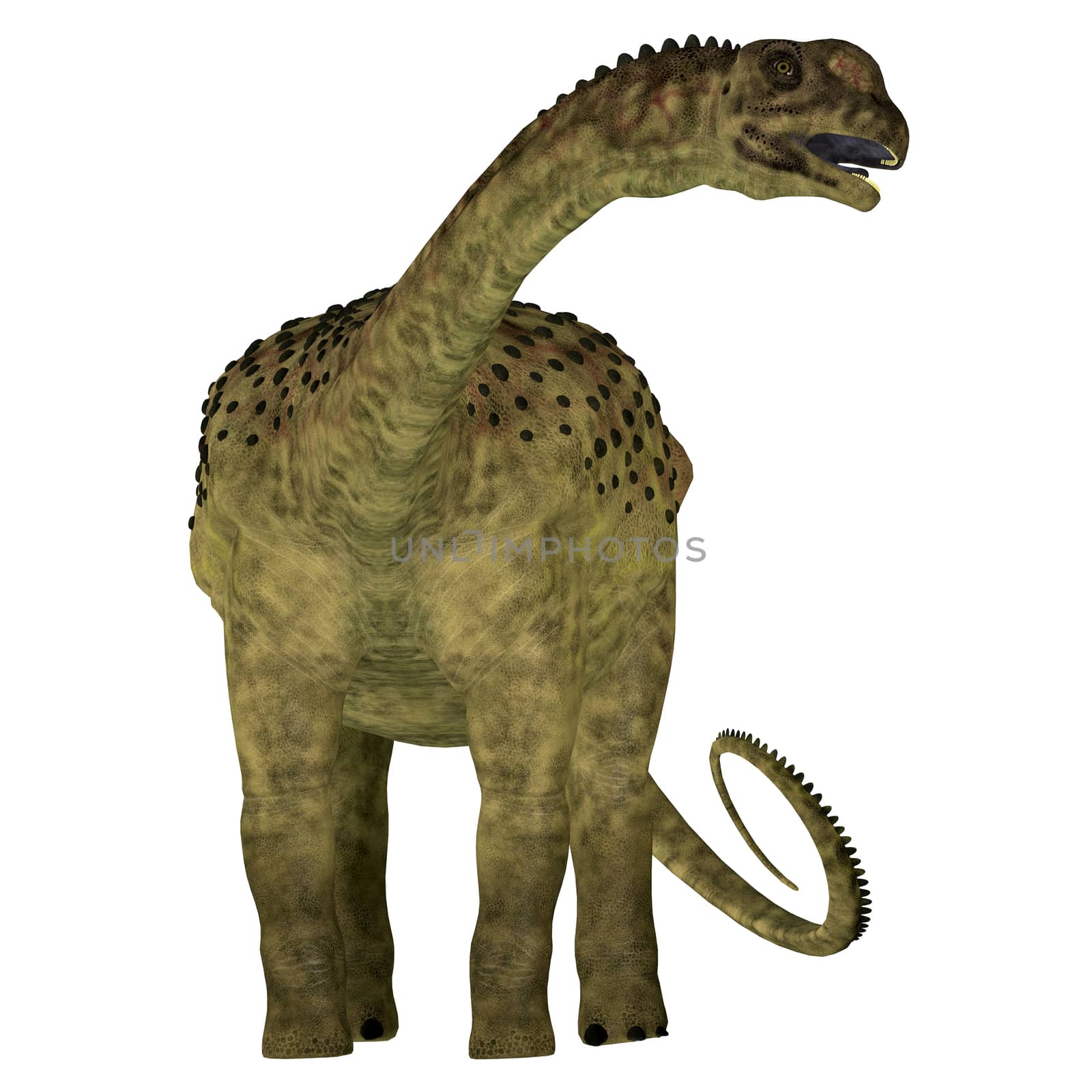 Uberabatitan was a herbivorous sauropod dinosaur that lived in Brazil during the Cretaceous Period.