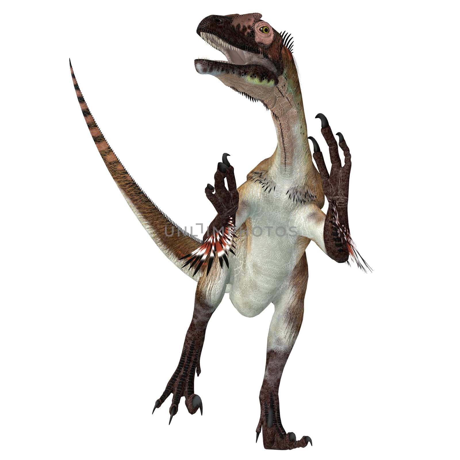 Utahraptor Dinosaur over White by Catmando