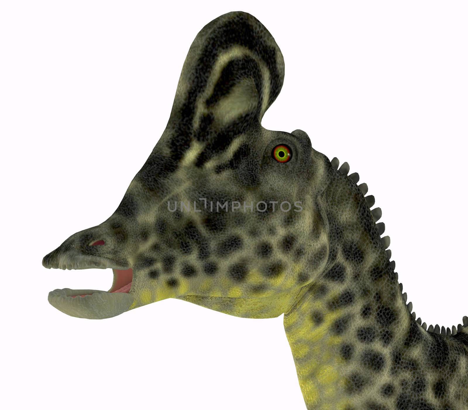 Velafrons Dinosaur Head by Catmando