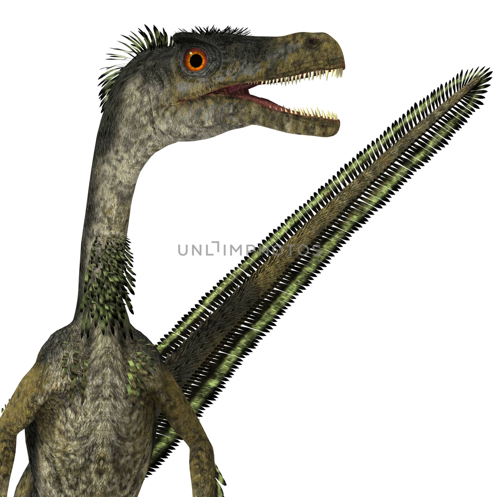 Velociraptor Dinosaur Head by Catmando