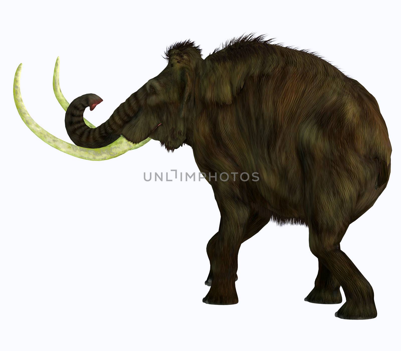 Woolly Mammoth Tail by Catmando