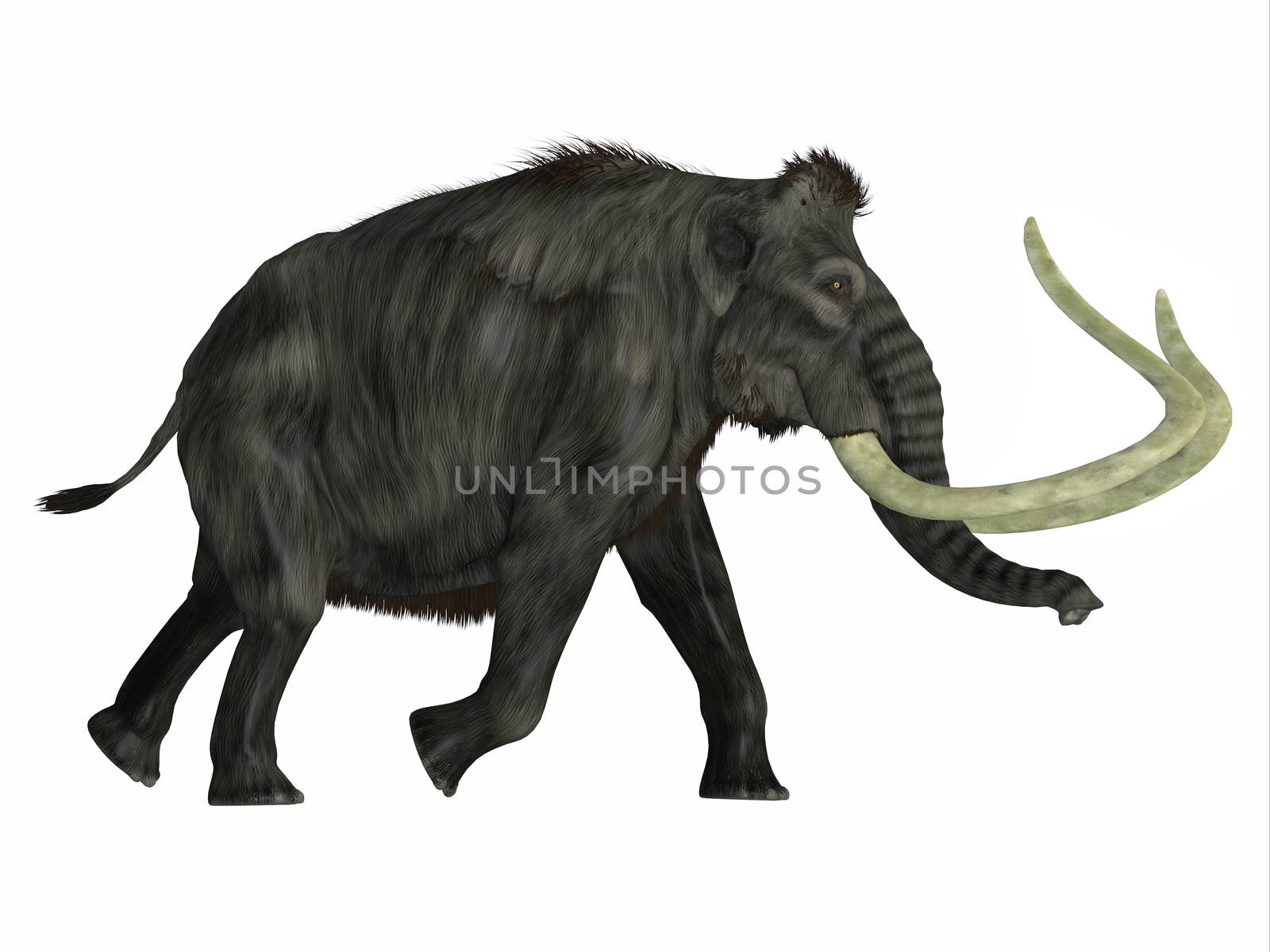 Woolly Mammoth Walking by Catmando