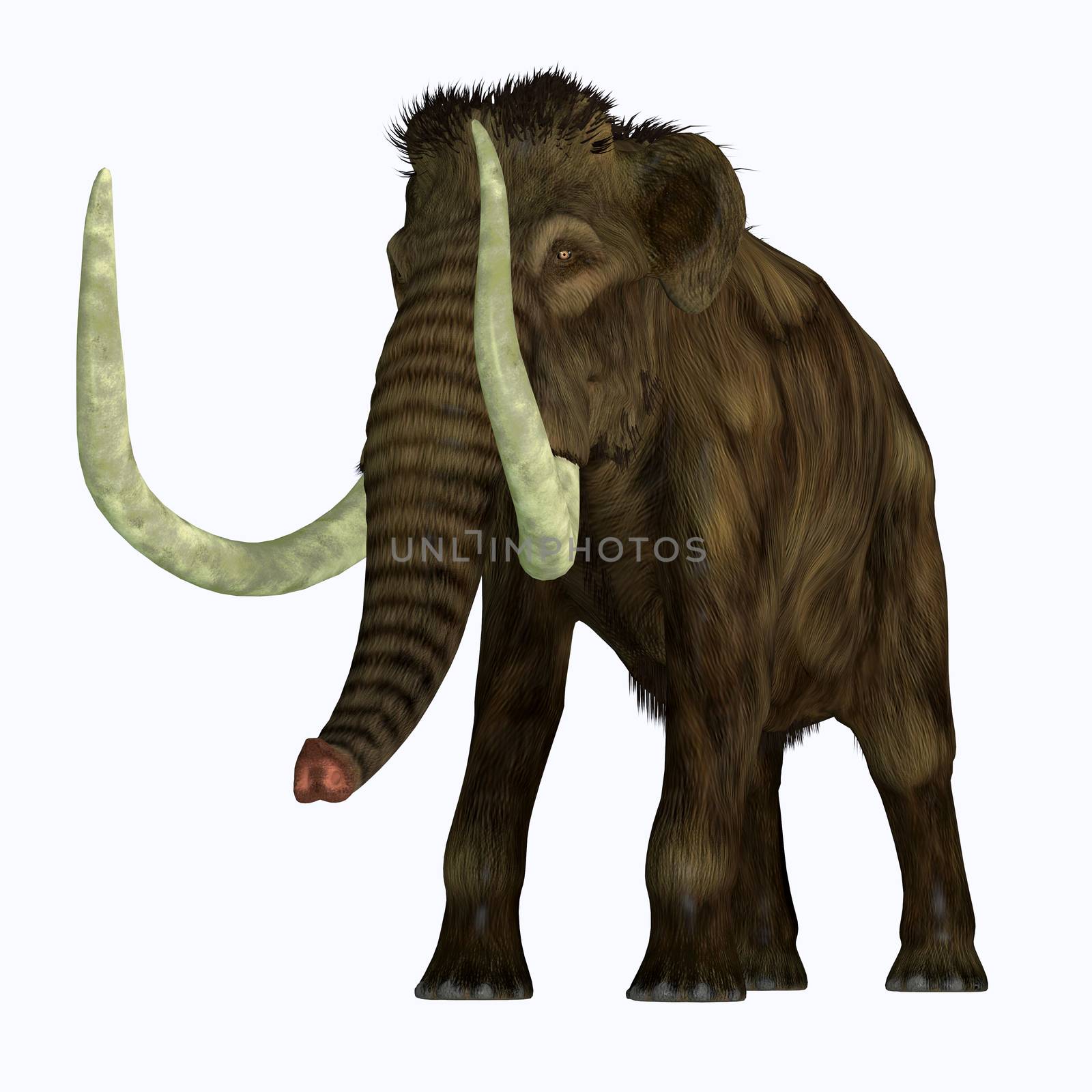 Woolly Mammoth Tusker by Catmando