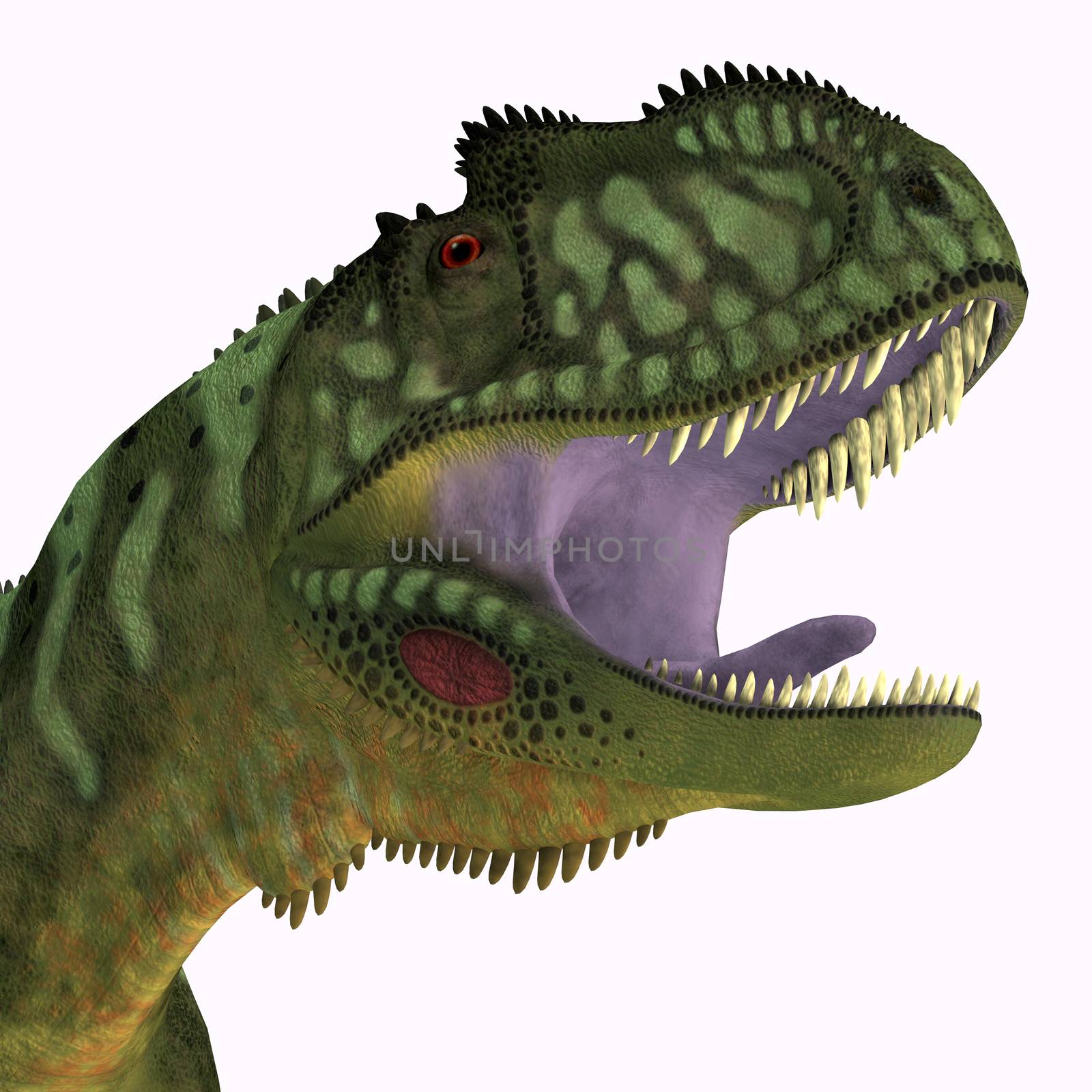 Yangchuanosaurus Dinosaur Head by Catmando