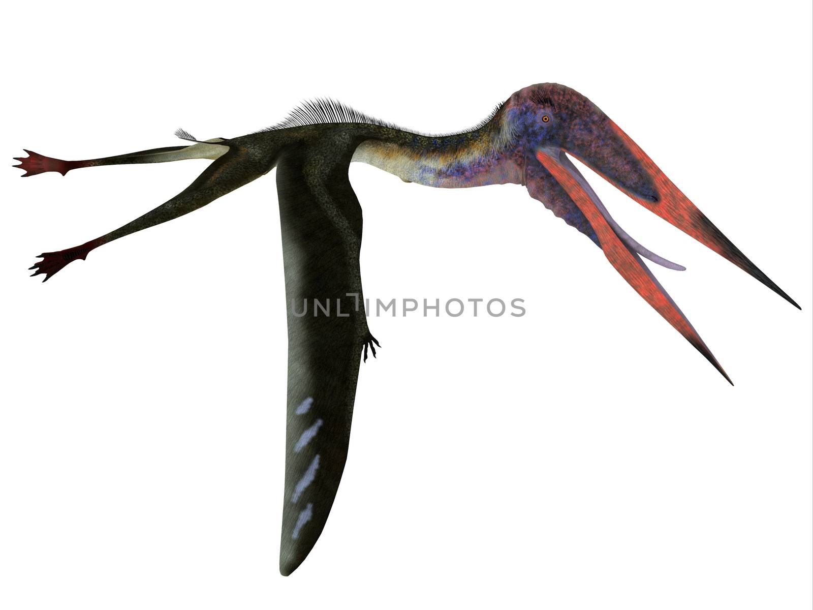 Zhejiangopterus Pterosaur Flying by Catmando