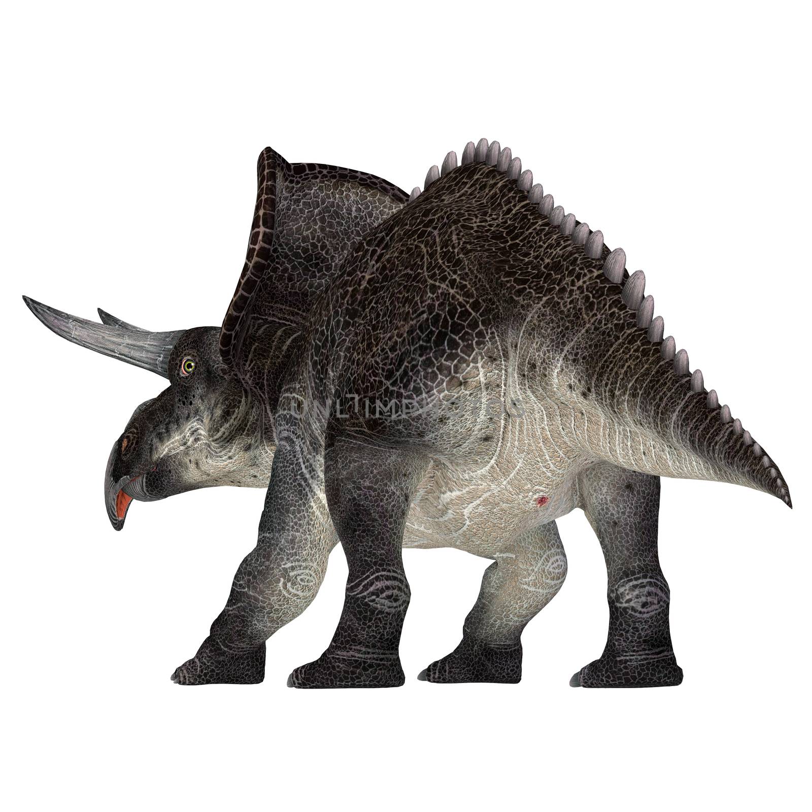 Zuniceratops Dinosaur Tail by Catmando