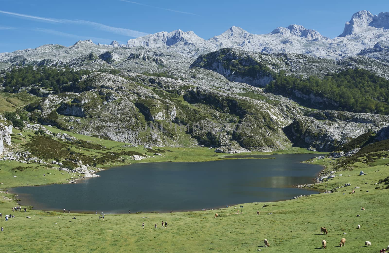 Lakes in the high mountains on a summer day, Colors of summer